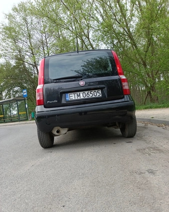 Fiat Panda cena 8800 przebieg: 153000, rok produkcji 2010 z Stargard małe 232